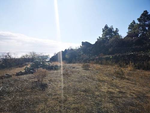 imagen 1 de Venta de finca con bonitas vistas en Arafo  (Tenerife)