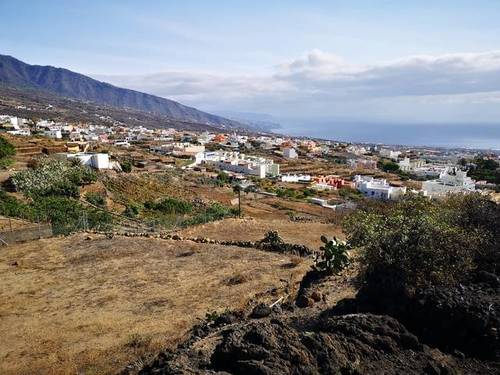 imagen 3 de Venta de finca con bonitas vistas en Arafo  (Tenerife)