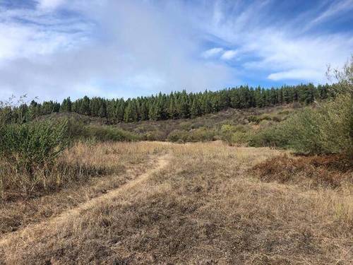 imagen 1 de Venta de finca ubicada en Reserva Natural (Tanque de Arriba)