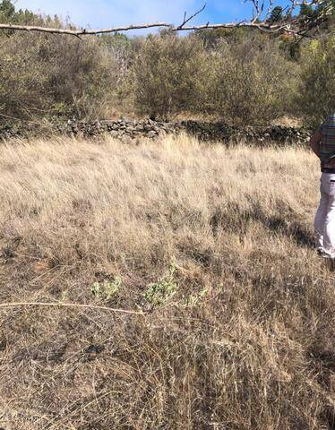 imagen 3 de Venta de finca ubicada en Reserva Natural (Tanque de Arriba)