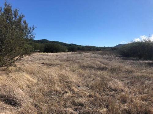 imagen 4 de Venta de finca ubicada en Reserva Natural (Tanque de Arriba)