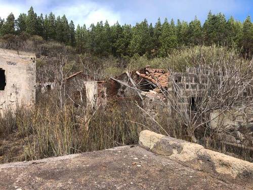 imagen 2 de Venta de finca ubicada en Reserva Natural (Tanque de Arriba)