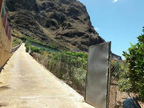 imagen 3 de Venta de finca con opción para construir en Buenavista del Norte