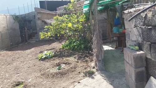 imagen 2 de Venta de parcela para construir o plantar en Punta del Hidalgo