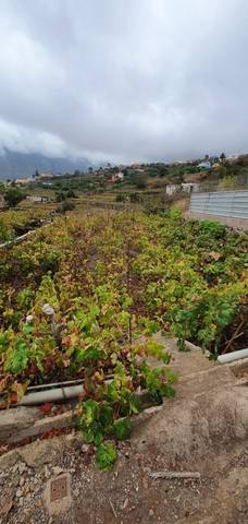 imagen 1 de Venta de terreno en La Orotava (Tenerife)