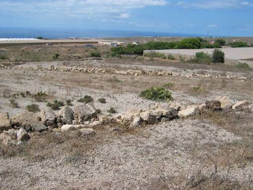 imagen 2 de Venta de finca con cuarto de aperos y estanque en Granadilla de Abona