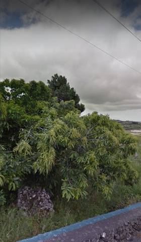 imagen 2 de Venta de bonito terreno en la zona del Paso (Tenerife)