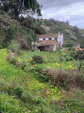 imagen 1 de Venta de finca con casa de aperos en Tegueste (Tenerife)