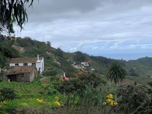 imagen 1 de Venta de finca con casa de aperos en Tegueste (Tenerife)