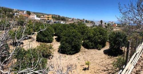 imagen 7 de Venta de casa rural en Granadilla de Abona