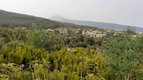 imagen 1 de Venta de terreno de labor en Aguamansa (Tenerife)