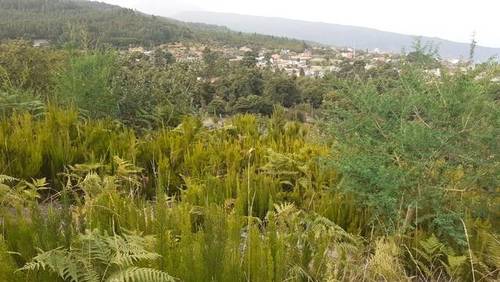 imagen 2 de Venta de terreno de labor en Aguamansa (Tenerife)