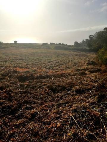 imagen 4 de Venta de finca con vistas al mar en El Sauzal (Tenerife)