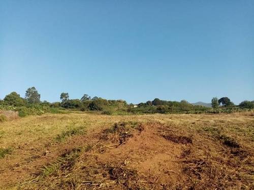 imagen 3 de Venta de finca con vistas al mar en El Sauzal (Tenerife)