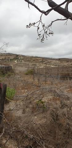 imagen 5 de Venta de finca rústica con vivienda en Fasnia