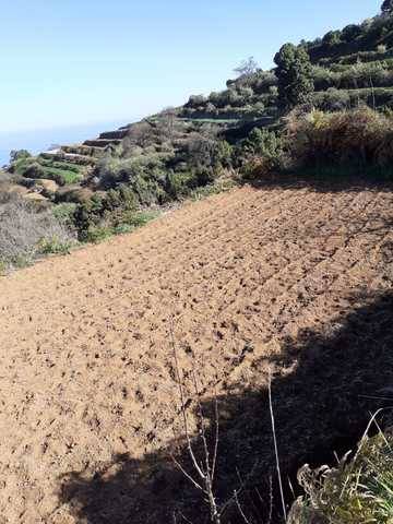 imagen 2 de Venta de terreno en La Guancha