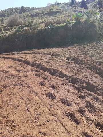imagen 3 de Venta de terreno en La Guancha