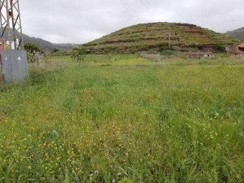 imagen 1 de Venta de bonita finca en Tegueste (Tenerife)