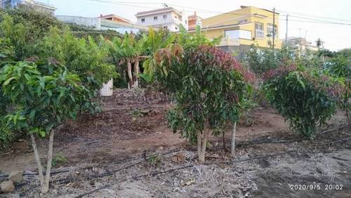 imagen 2 de Venta de terreno con cuarto de aperos en Valle Guerra