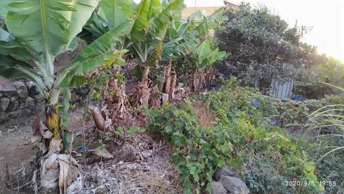 imagen 3 de Venta de terreno con cuarto de aperos en Valle Guerra