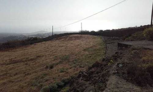 imagen 3 de Venta de terreno con cueva y cuarto de aperos en Arico (Tenerife)