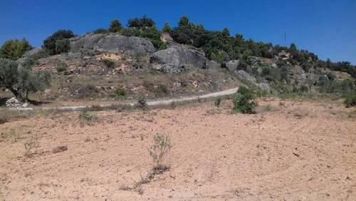 imagen 1 de Venta de finca para cultivo de trufa en Teruel