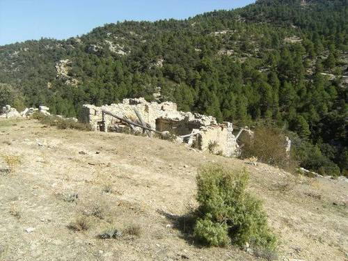 imagen 2 de Venta de finca rústica con pinar y truferas en Teruel