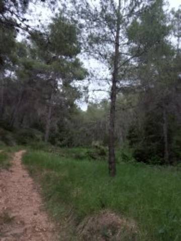 imagen 5 de Venta de finca con masía en Beceite (Teruel)