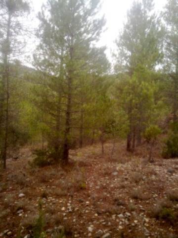 imagen 1 de Venta de finca en Beceite (Teruel)