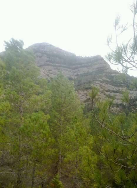 imagen 2 de Venta de finca en Beceite (Teruel)