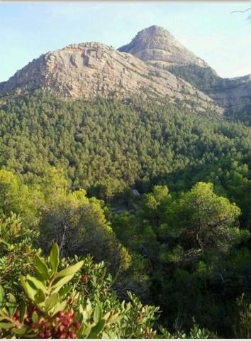 imagen 2 de Venta de espectacular finca con masía en Beceíte