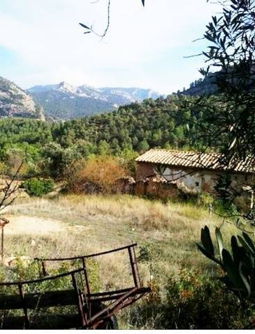 imagen 3 de Venta de espectacular finca con masía en Beceíte