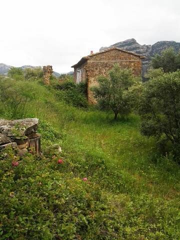 imagen 4 de Venta de espectacular finca con masía en Beceíte