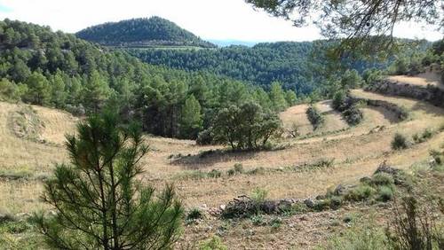 imagen 1 de Venta de finca con casa de aperos en Monroyo (Teruel)