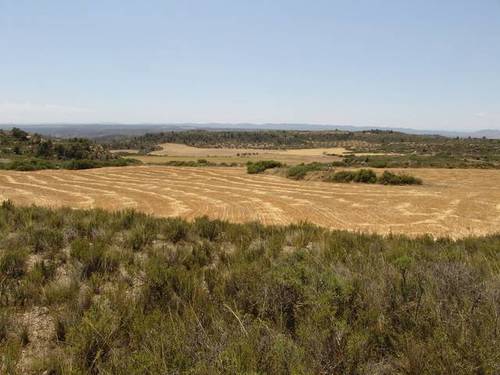 imagen 1 de Venta de finca de caza mayor y menor y Alcañiz (Teruel)