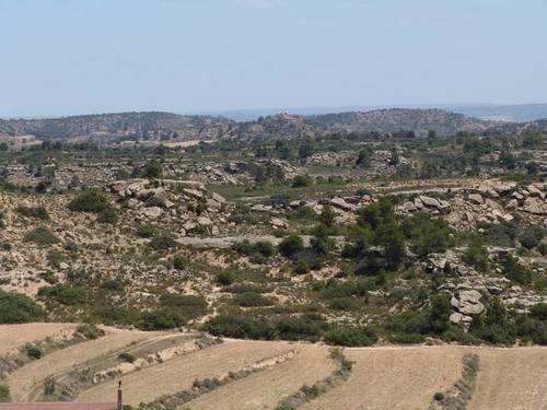 imagen 3 de Venta de finca de caza mayor y menor y Alcañiz (Teruel)