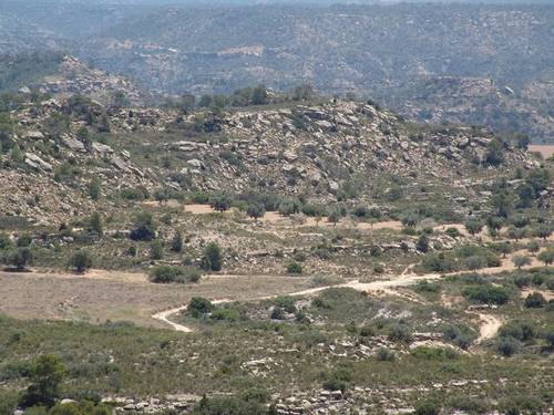 imagen 2 de Venta de finca de caza mayor y menor y Alcañiz (Teruel)