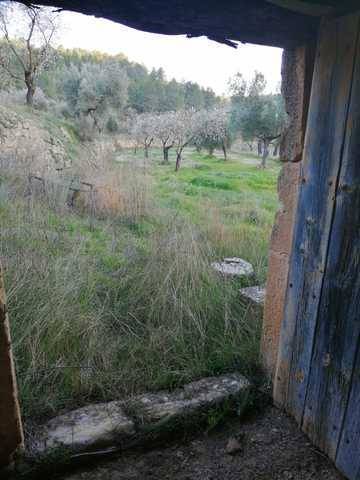 imagen 1 de Venta de finca ecológica con masía en Calaceite (Teruel)