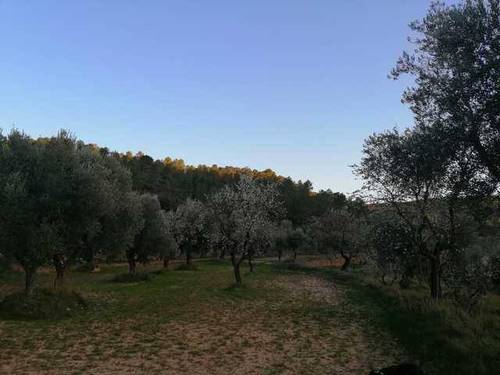 imagen 3 de Venta de finca ecológica con masía en Calaceite (Teruel)