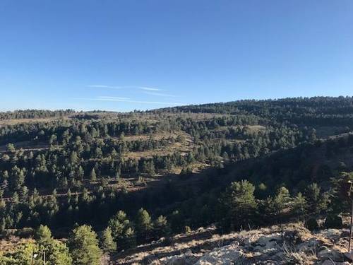 imagen 1 de Venta de finca con masía en Linares de Mora (Teruel)