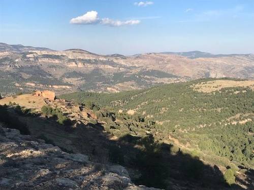 imagen 2 de Venta de finca con masía en Linares de Mora (Teruel)