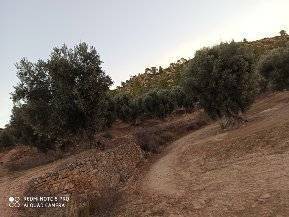 imagen 3 de Venta de finca con masía en Calaceite