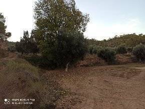 imagen 2 de Venta de finca con masía en Calaceite