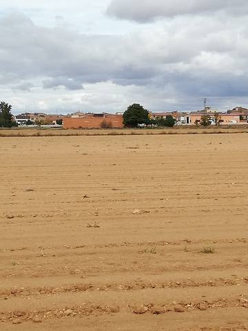 imagen 1 de Venta de finca con nave en Villarquemado (Teruel)