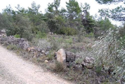 imagen 5 de Venta de finca con árboles milenarios en La Fresneda (Teruel)