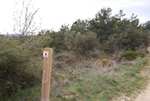 imagen 6 de Venta de finca con árboles milenarios en La Fresneda (Teruel)