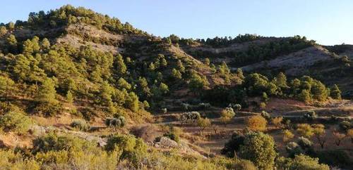 imagen 1 de Venta de finca rústica en Beceite (Teruel)