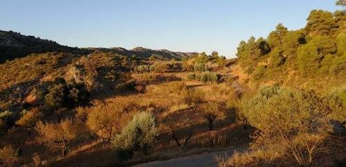 imagen 2 de Venta de finca rústica en Beceite (Teruel)