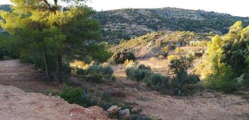 imagen 3 de Venta de finca rústica en Beceite (Teruel)