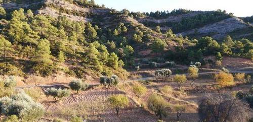 imagen 4 de Venta de finca rústica en Beceite (Teruel)